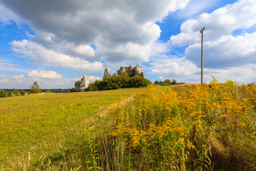 Fototapeta na wymiar Farming field in summer landscape of Poland near Krakow