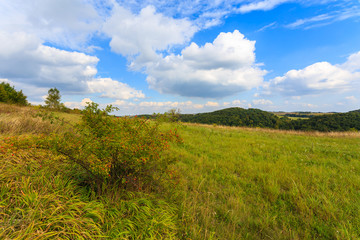 Fototapeta premium Farming field in summer landscape of Poland near Krakow