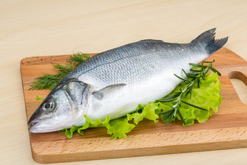 Raw seabass