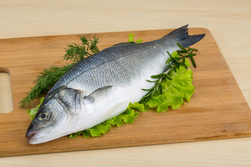 Raw seabass