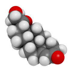 Aldosterone mineralocorticoid hormone