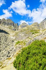 Summer landscape of Tatra Mountains in 5 lakes valley, Slovakia