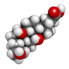 Bile acid (cholic acid, cholate) molecule. 