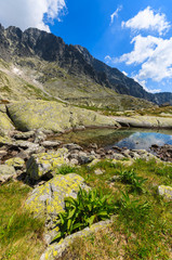 Beautiful lake in summer landscape of Tatra Mountains, Slovakia