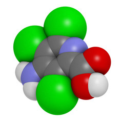 Picloram herbicide molecule. 