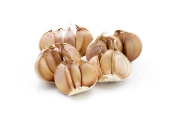 Garlic isolated on the white background.