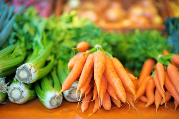 Fresh fennel and carrots on agricultural market