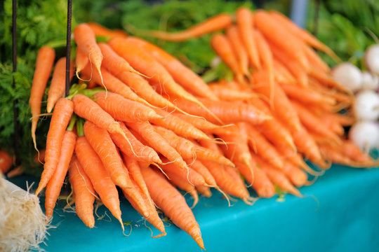 Fresh bio carrots on farmer market