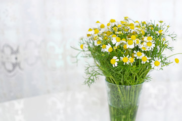 窓辺に置いたカモミールの花