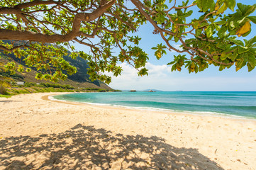 Hawaiian beach with sand and mountain background