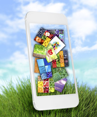 Touch screen mobile phone with beautiful images