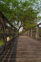 Obraz premium the pathway at the old wood bridge