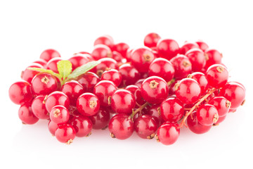 Red Currants