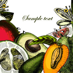 Organic Fruits. Still-life of juicy mango, avocado, pomelo.