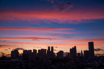 Fototapeta premium 東京の朝