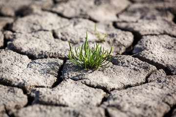 Drought, dry earth, crack, sun, peace, sadness