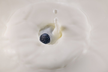 Lait et myrtille