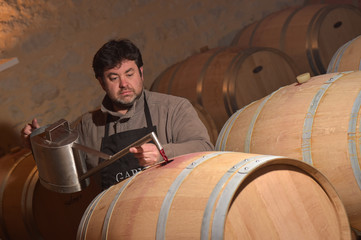 Decanting wine in a barrel's cellar