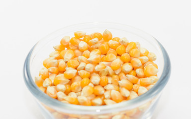 corn seeds