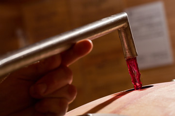 Decanting wine in a barrel's cellar