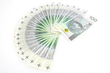 polish cash money white - obrazy, fototapety, plakaty