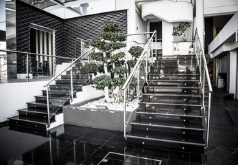 Glass staircase and decorative tree in the modern interior. Tone