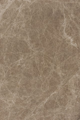 XXL Grunge background with space for text or image