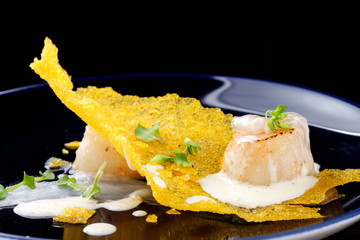 Haute cuisine, Gourmet food scallops on a corn crunch