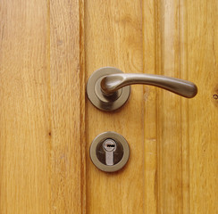 New wooden door with handle and lock