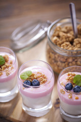 Delicious dessert, flakes flooded in two flavors yogurt with blu