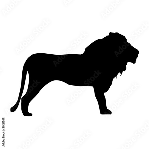 "Löwe Silhouette" Stockfotos und lizenzfreie Vektoren auf Fotolia.com