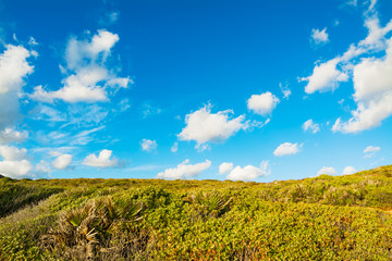 cloudy sky over the country