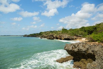 Beautiful summer landscape on the beach with palm tree