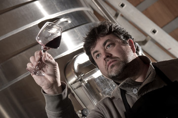 Winemaker tasting wine amongst oak casks.
