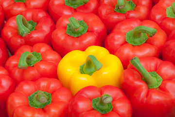 Yellow Pepper (between Red Peppers)