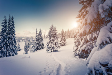 Amazing winter landscape