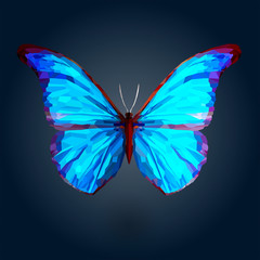Abstract blue butterfly on deep blue background