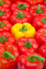 Yellow Pepper (between Red Peppers)