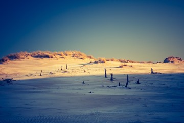 Fototapeta na wymiar Vintage photo of sand dunes landscape