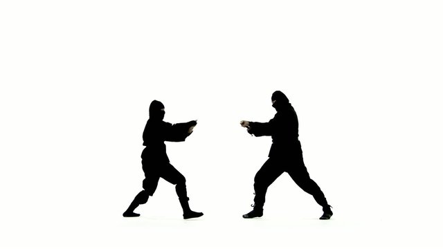 Masked ninjas fight with swords.  Only one of them can be victorious.