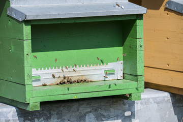 Bienenkasten im Tessin, Schweiz