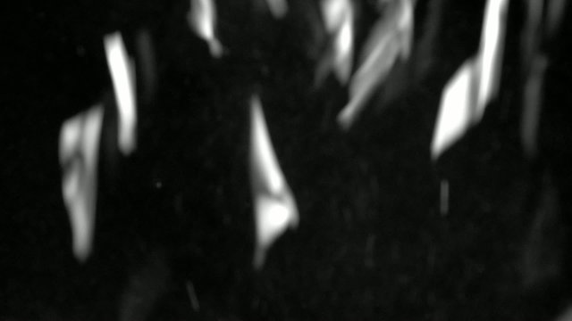 Detail of paper falling from a shredder.  Recorded with low shutter speed (large shutter angle) enhancing motion blur.