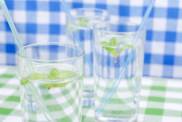 glass of clean water with mint on a table covered with a checker