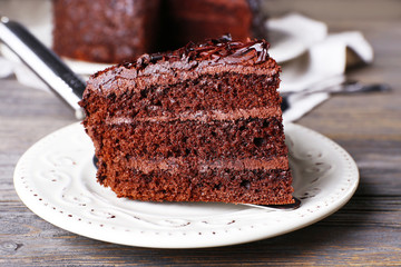 Delicious chocolate cake in white plate