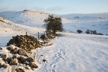 Beautiful snow covered sunrise Winter rural landscape