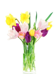Beautiful spring flowers isolated on white