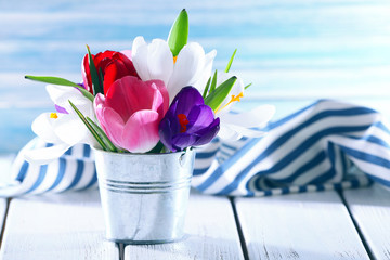 Beautiful spring flowers in metal bucket on color background