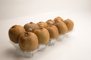 Kiwi, Actinidia deliciosa