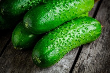 several organic cucumbers  closeup on a rustic background