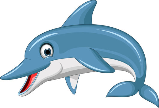 cute dolphin cartoon